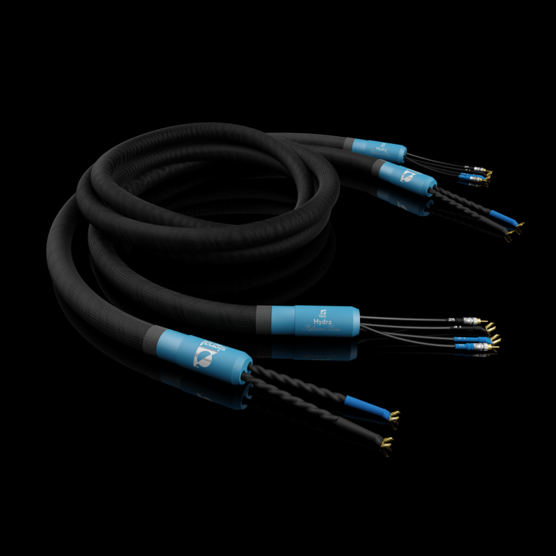 hydra-speaker-1-1-800x533.png
